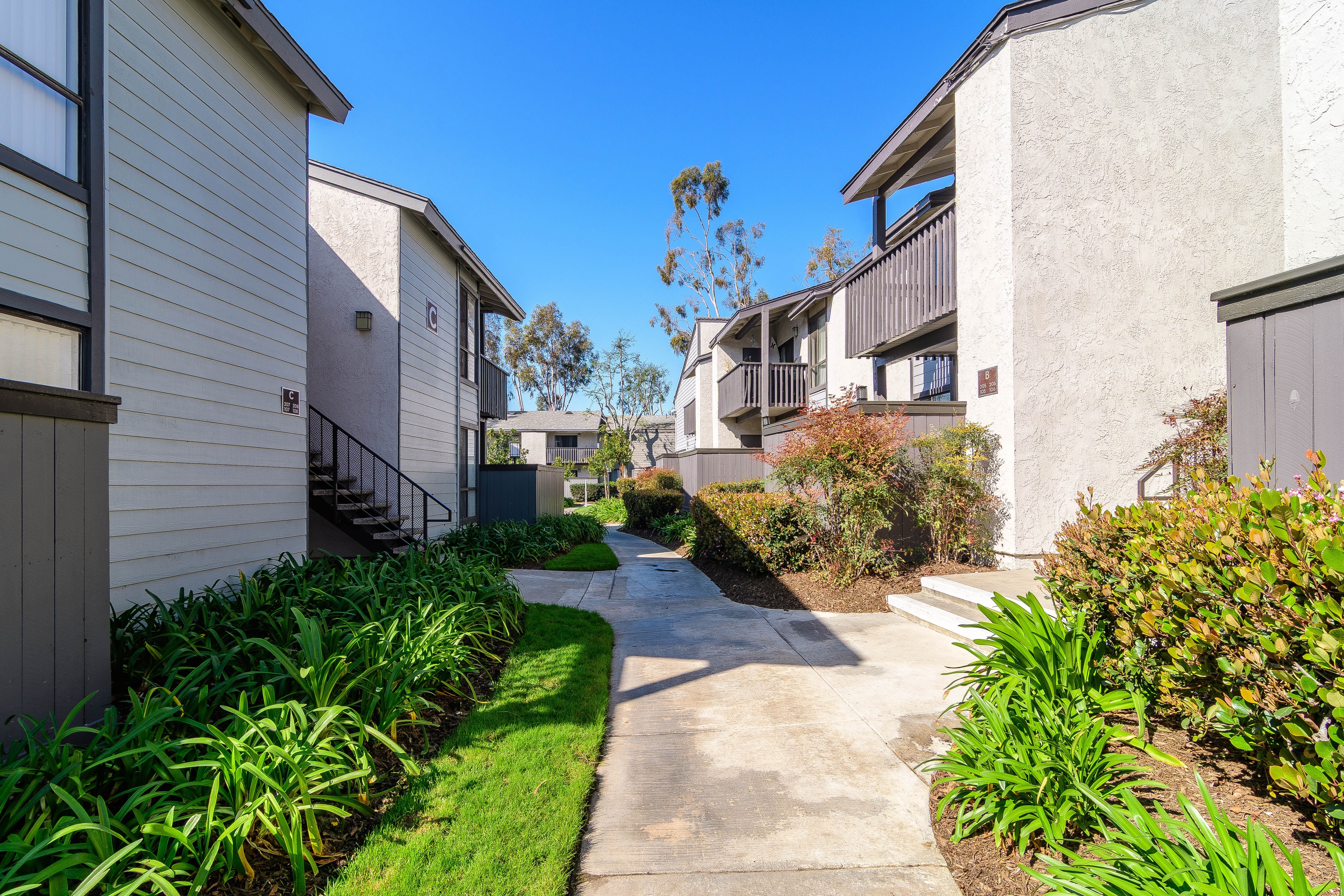 A sunny day in a quiet residential area with a pathway and greenery.